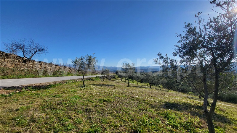 Terreno Rústico  com Agrícola Valpaços, Santa Maria de Emeres - 1382272 - 2
