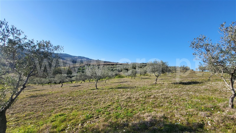 Terreno Rústico  com Agrícola Valpaços, Santa Maria de Emeres - 1382272 - 4