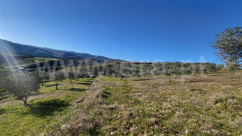 Terreno Rústico  com Agrícola Valpaços, Santa Maria de Emeres - 1382272 - 5