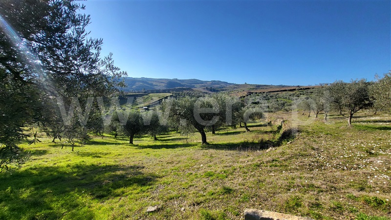 Terreno Rústico  com Agrícola Valpaços, Santa Maria de Emeres - 1382272 - 7