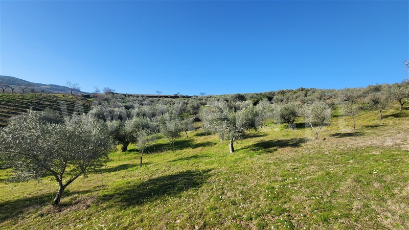 Terreno Rústico  com Agrícola Valpaços, Santa Maria de Emeres - 1382272 - 13