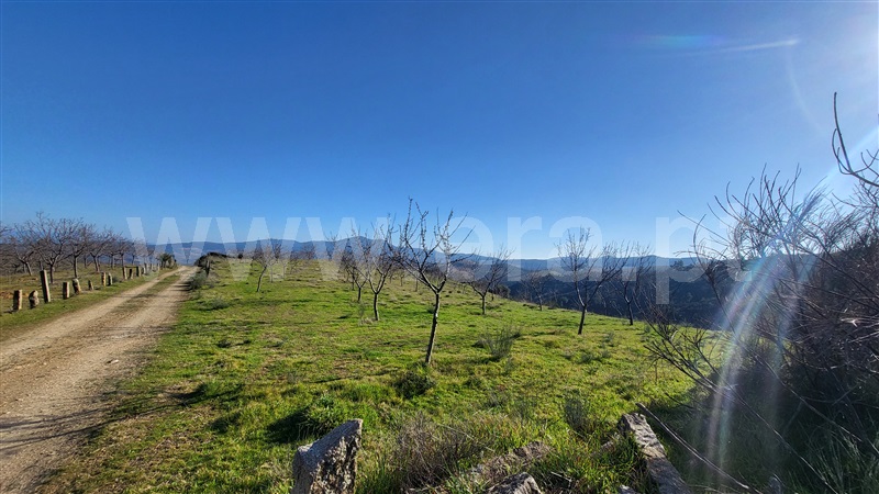 Terreno Rústico  com Agrícola Valpaços, Santa Maria de Emeres - 1382421 - 6