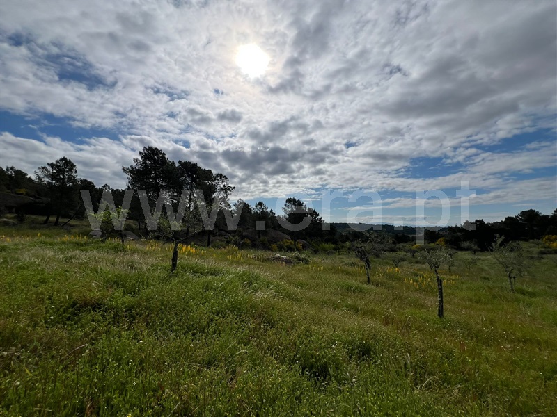 Terreno Rústico  Valpaços, Valpaços e Sanfins - 1475099 - 6