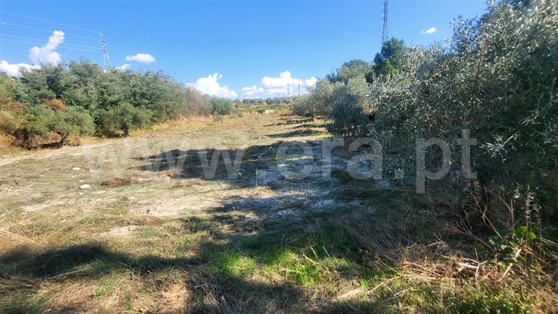 Terreno Rústico / Valpaços, Valpaços e Sanfins