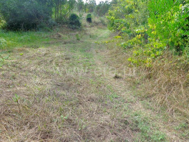 Terreno  Viana do Castelo, Chafé - 675120 - 3