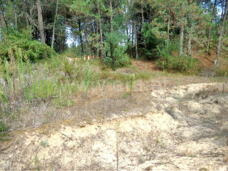 Terreno  Viana do Castelo, Chafé - 675120 - 4