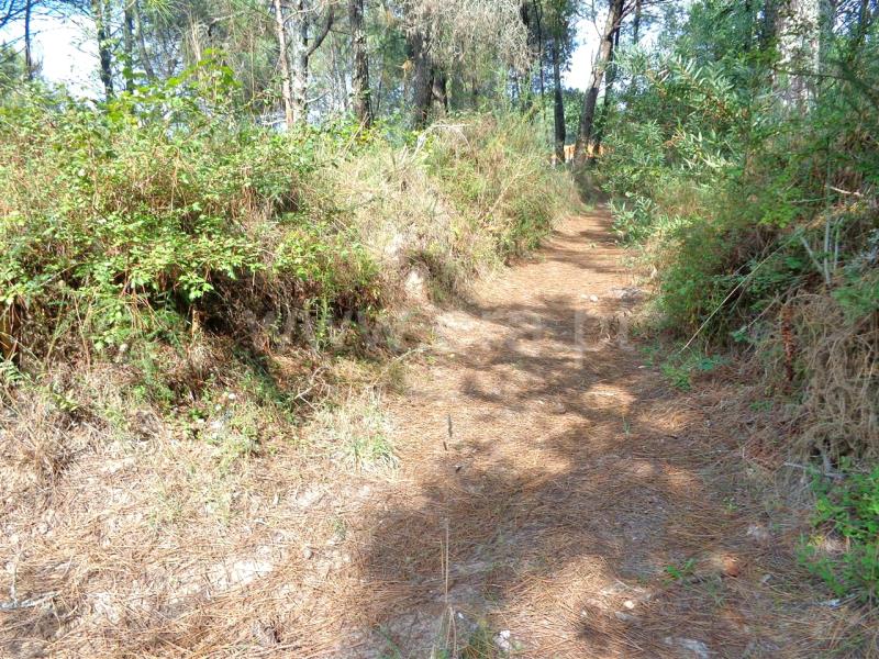 Terreno  Viana do Castelo, Chafé - 675120 - 5