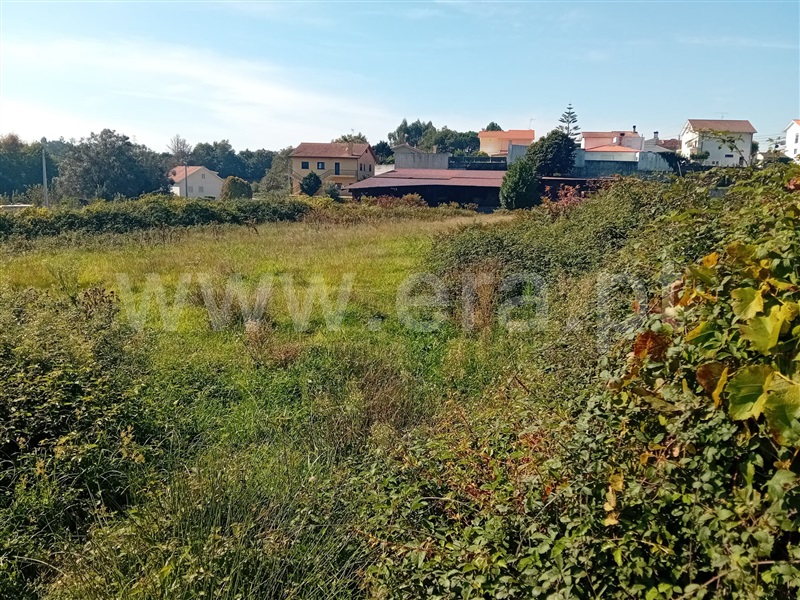 Terreno Rústico / Viana do Castelo, Mujães