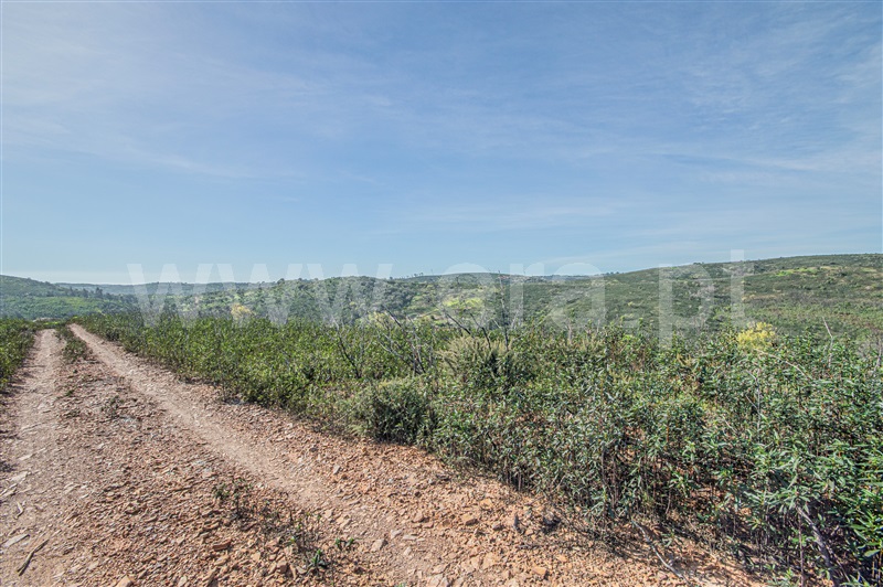 Terreno Rústico  com Rústico Vila do Bispo, Barão São Miguel - 1368792 - 2
