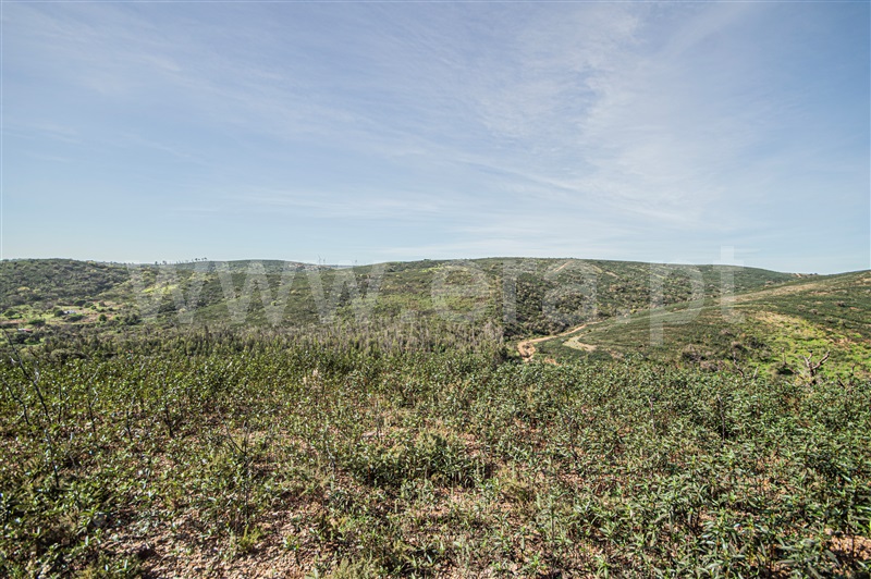 Terreno Rústico  com Rústico Vila do Bispo, Barão São Miguel - 1368792 - 3