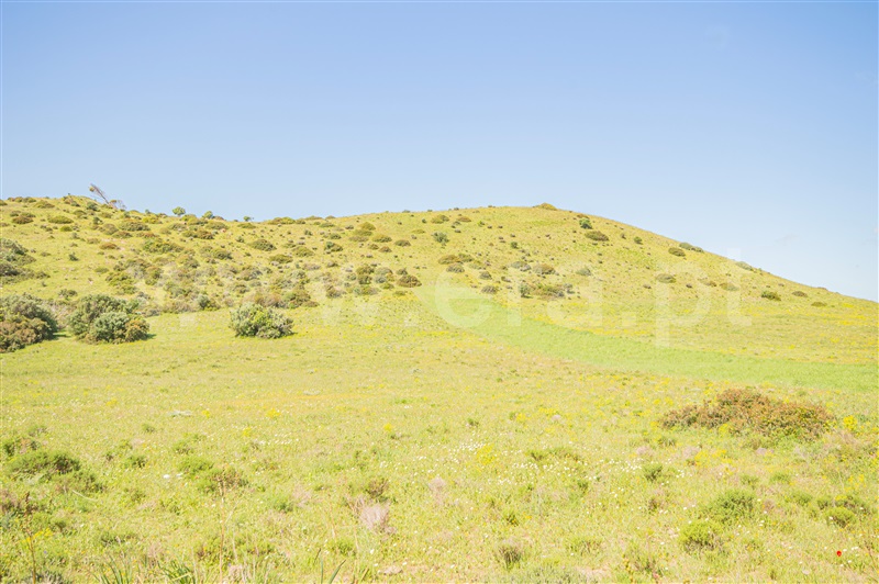 Terreno Rústico  Vila do Bispo, Salema - 1475776 - 3