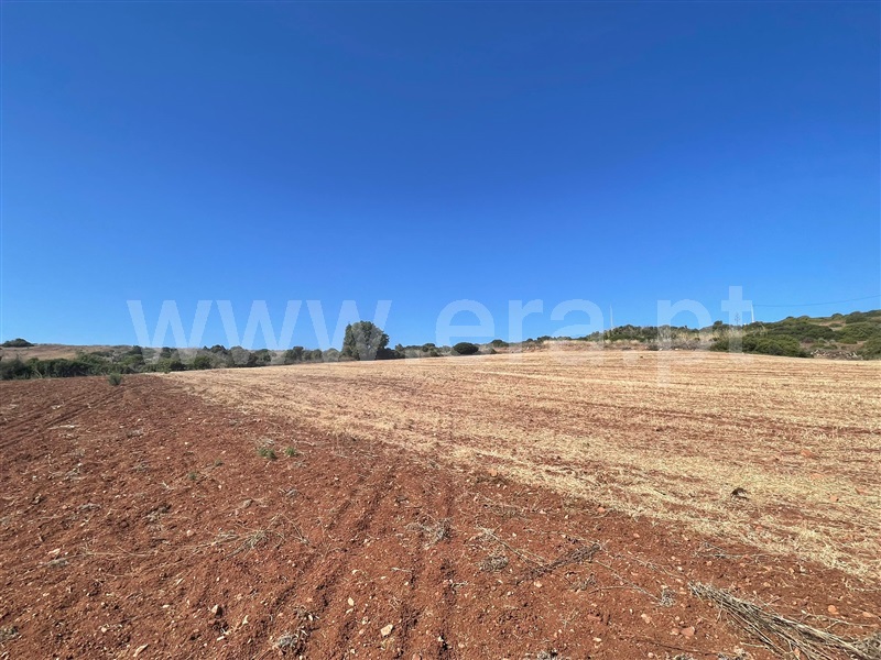 Terreno Rústico / Vila do Bispo, Vila do Bispo e Raposeira