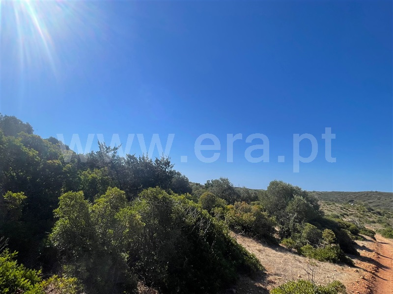 Terreno Rústico  Vila do Bispo, Vila do Bispo e Raposeira - 1511136 - 1