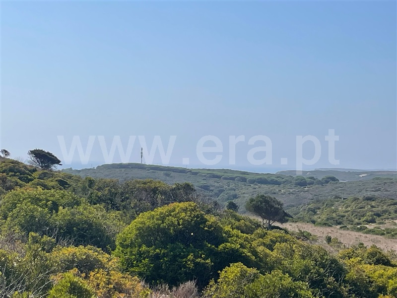 Terreno Rústico  com Rústico Vila do Bispo, Vila do Bispo e Raposeira - 1511136 - 12