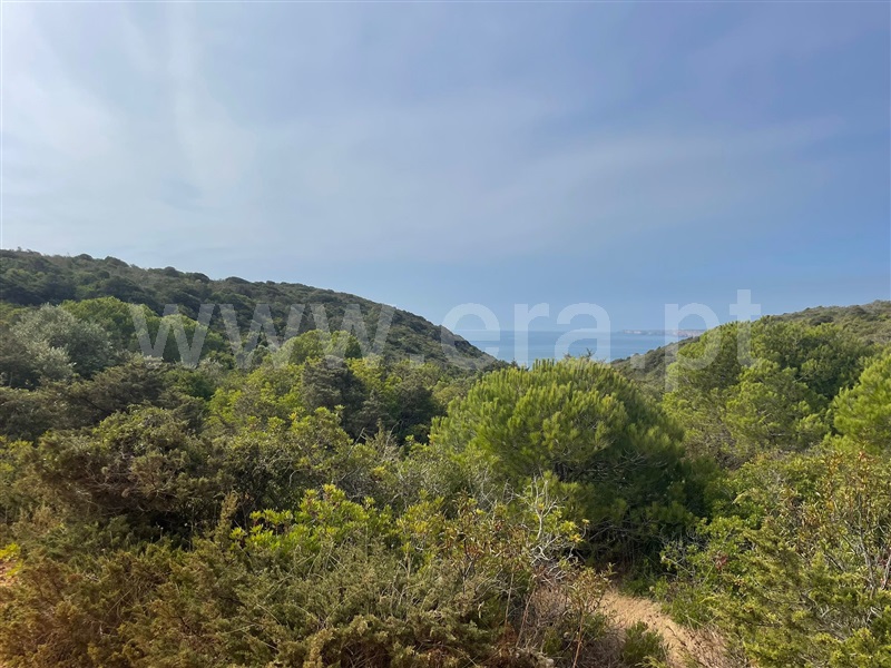 Terreno Rústico  Vila do Bispo, Vila do Bispo e Raposeira - 1511185 - 12