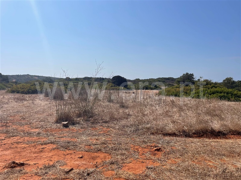 Terreno Rústico  Vila do Bispo, Vila do Bispo e Raposeira - 1511185 - 15