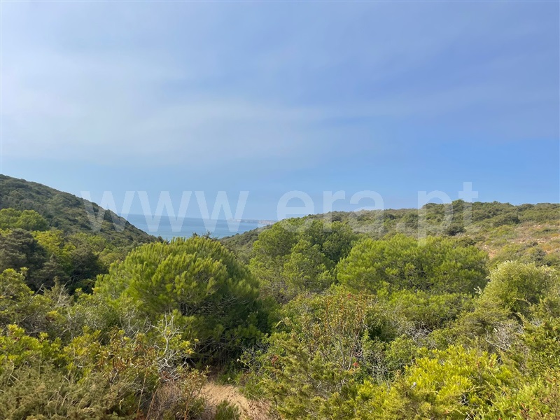 Terreno Rústico  Vila do Bispo, Vila do Bispo e Raposeira - 1511185 - 16