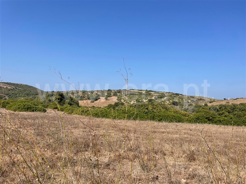 Terreno Rústico  Vila do Bispo, Vila do Bispo e Raposeira - 1511192 - 4