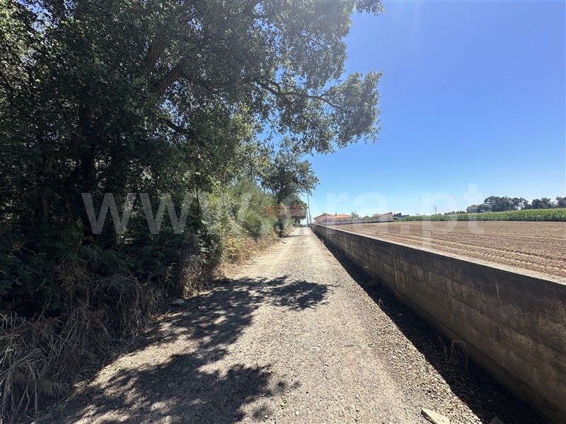Lote Industrial  Vila do Conde, Gião - 1426631 - 3