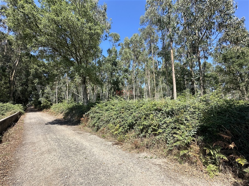 Lote Industrial  Vila do Conde, Gião - 1426631 - 4