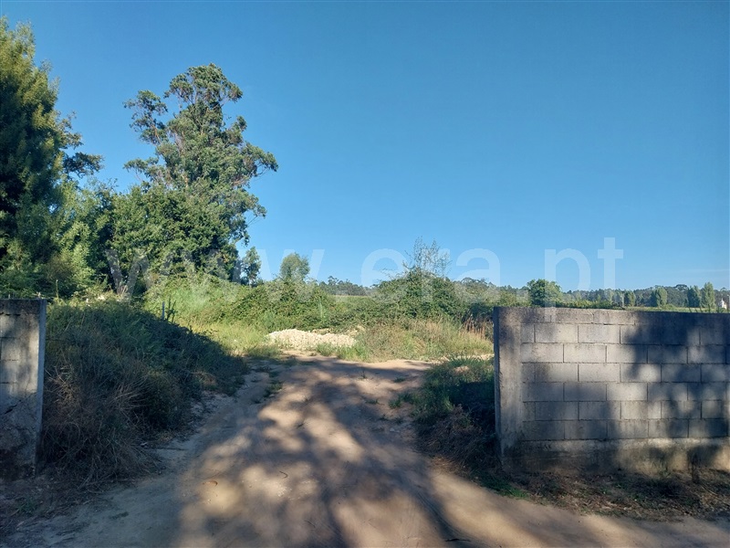 Azenha  Vila do Conde, Gião - 1426662 - 3