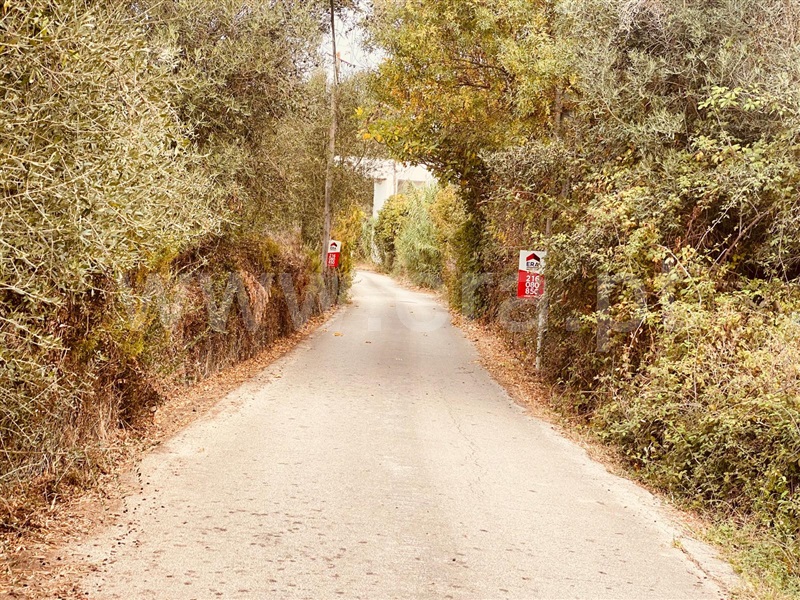 Terreno Rústico  Vila Franca de Xira, Alverca - 1512992 - 4