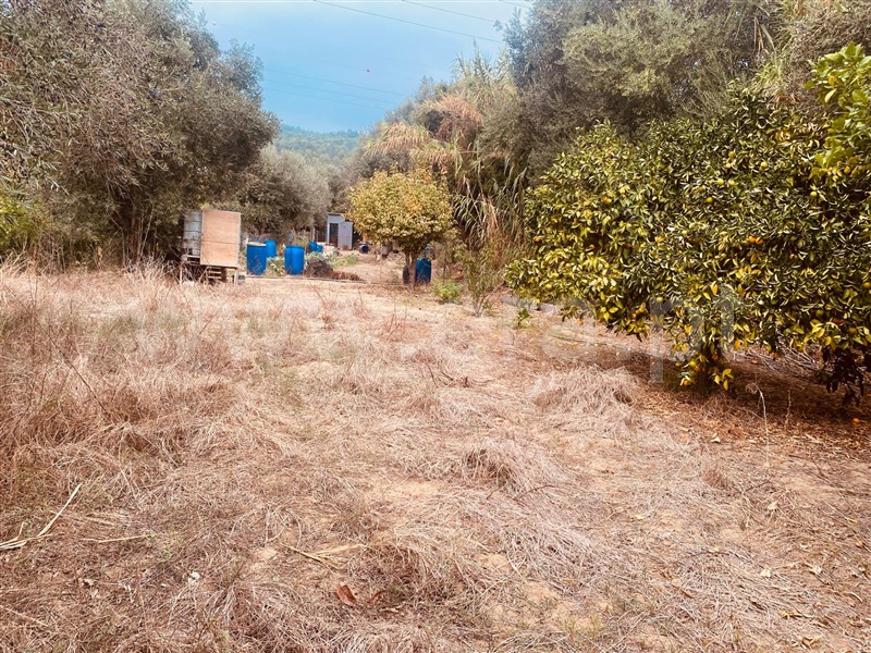 Terreno Rústico  Vila Franca de Xira, Alverca - 1512992 - 5