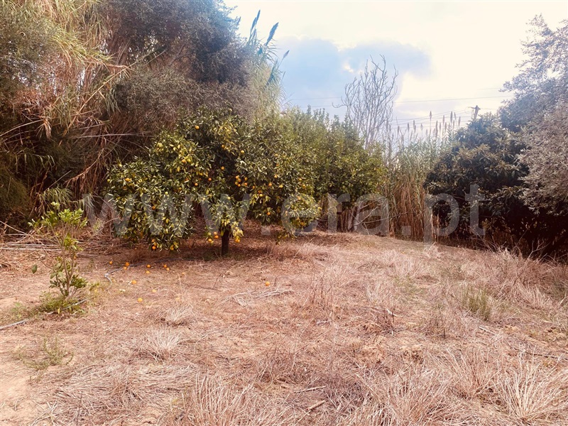 Terreno Rústico  Vila Franca de Xira, Alverca - 1512992 - 6