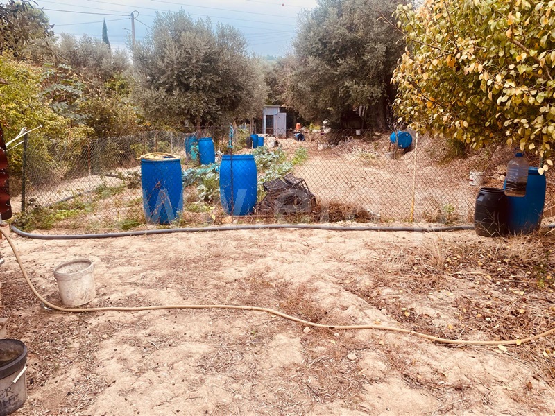 Terreno Rústico  Vila Franca de Xira, Alverca - 1512992 - 7