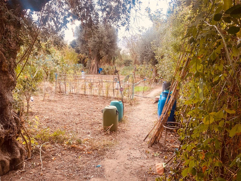 Terreno Rústico  Vila Franca de Xira, Alverca - 1512992 - 8