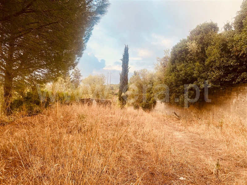Terreno Rústico  Vila Franca de Xira, Alverca - 1512992 - 9