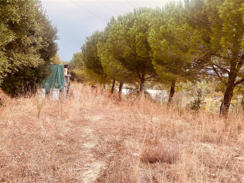 Terreno Rústico  Vila Franca de Xira, Alverca - 1512992 - 10