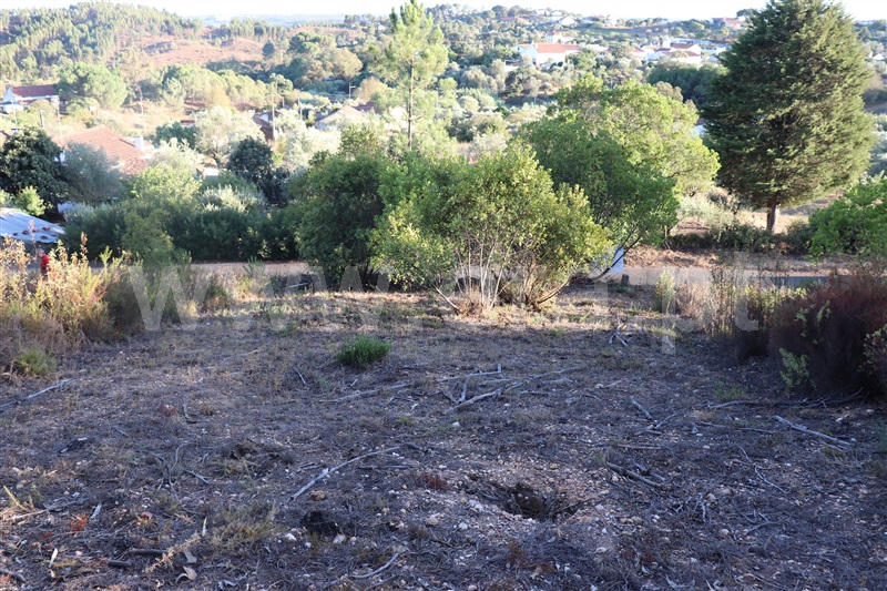 Terreno  Vila Nova da Barquinha, Limeiras - 1271206 - 2