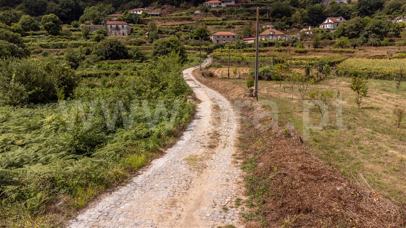 Terreno Rústico  com Rústico Vila Nova de Cerveira, Vila Nova de Cerveira e Lovelhe - 1346645 - 18