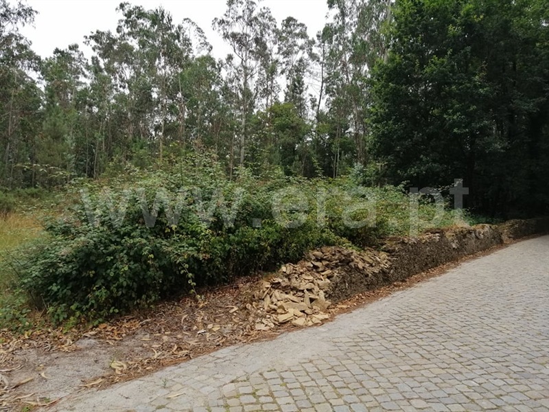 Terreno Rústico  Vila Nova de Famalicão, Fradelos - 1098331 - 3
