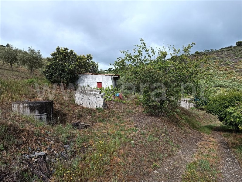 Terreno Rústico / Vila Nova de Foz Coa, Vila Nova de Foz Côa
