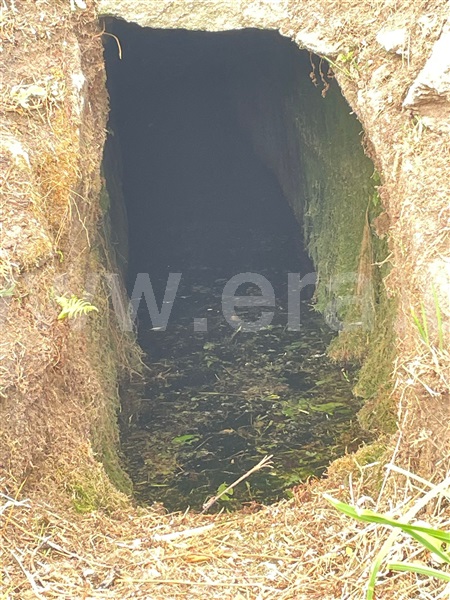 Terreno Rústico  Vila Pouca de Aguiar, Telões - 1503098 - 8