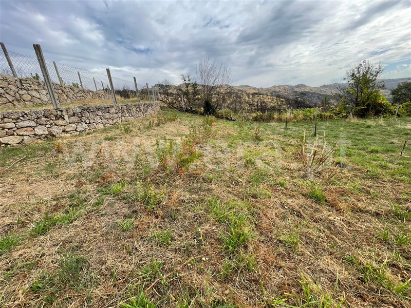 Terreno Rústico  Vila Pouca de Aguiar, Telões - 1503098 - 10