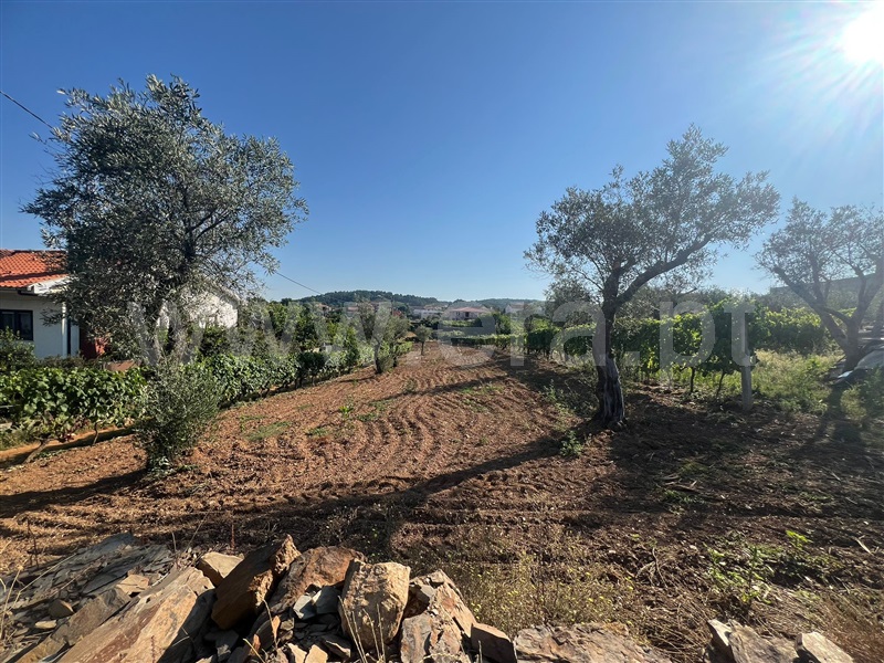 Terreno Rústico / Vila Real, Constantim e Vale de Nogueiras