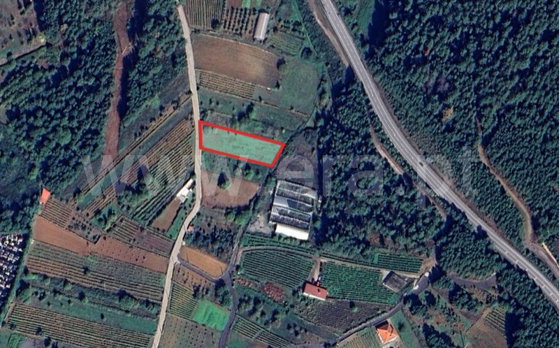 Terreno Rústico / Vila Real, Constantim e Vale de Nogueiras