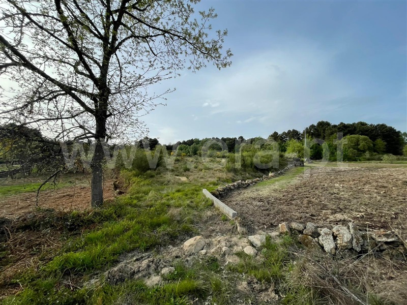 Terreno Rústico / Vila Real, Constantim e Vale de Nogueiras