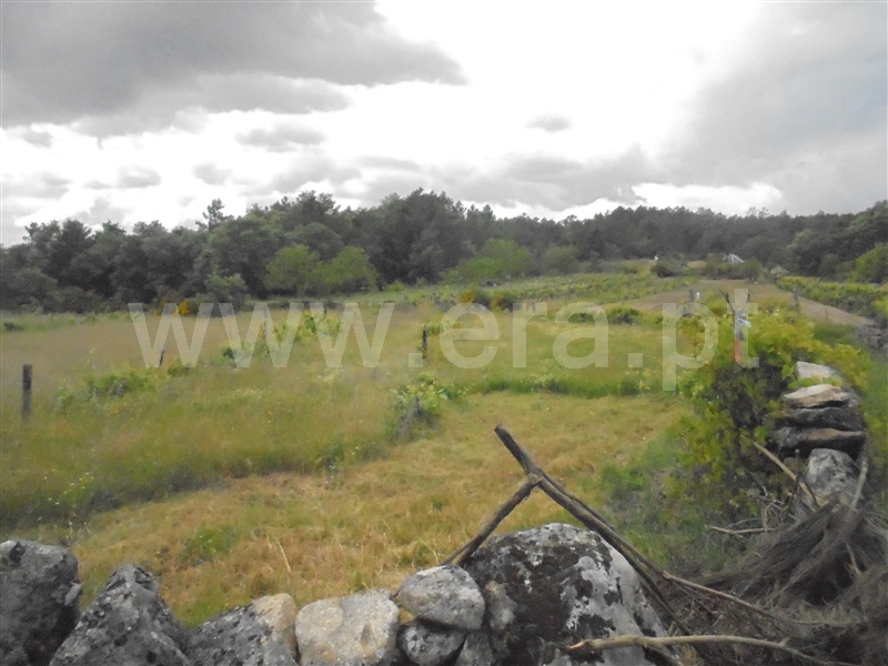 Terreno Rústico / Vila Real, Constantim e Vale de Nogueiras