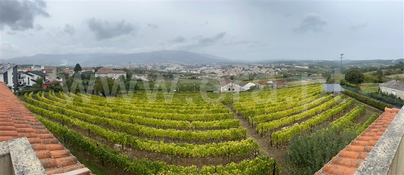 Terreno Rústico / Vila Real, Folhadela