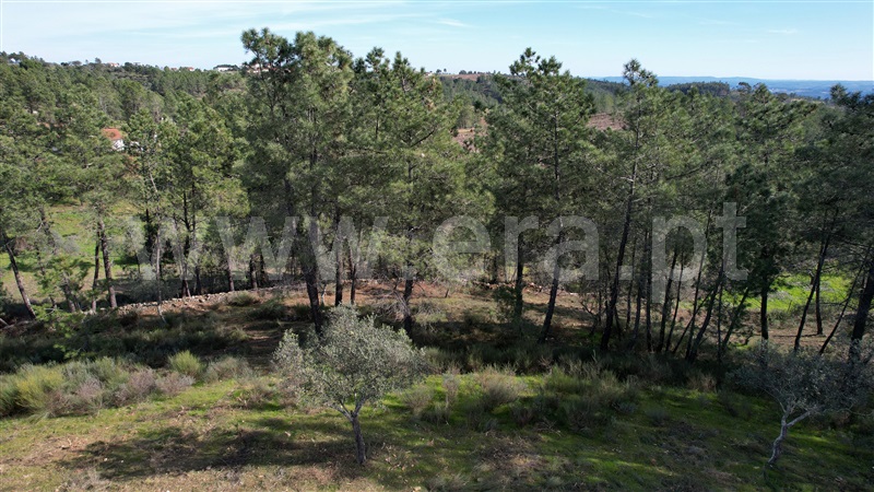 Terreno Rústico  Vila Velha de Rodão, Perais - 1456278 - 9