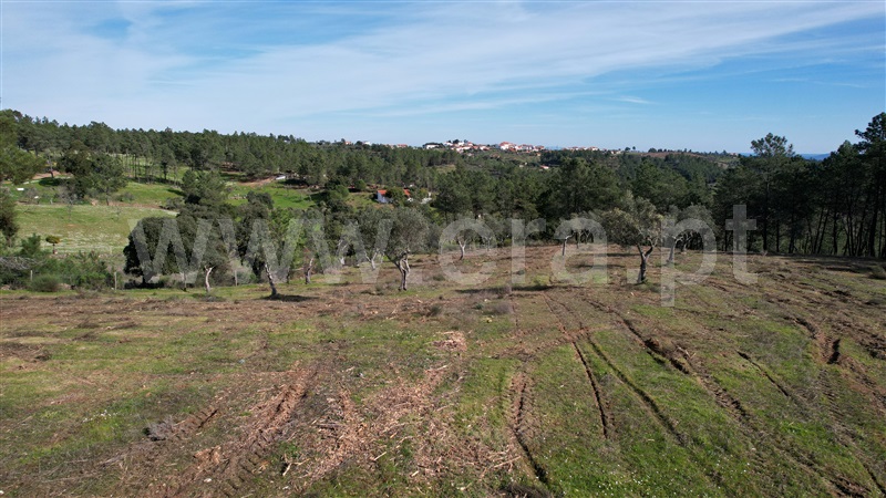 Terreno Rústico  Vila Velha de Rodão, Perais - 1456278 - 11