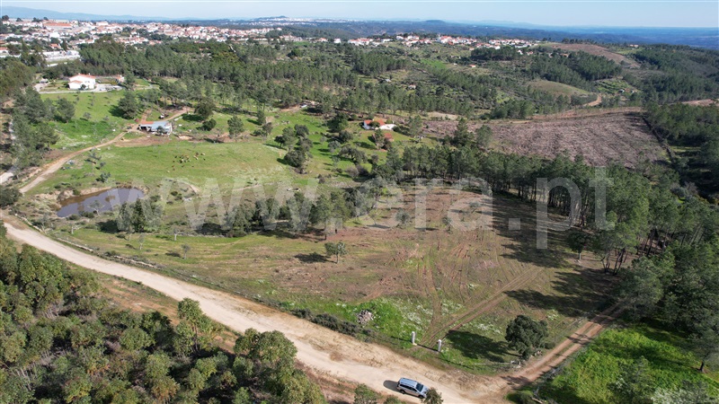 Terreno Rústico  Vila Velha de Rodão, Perais - 1456278 - 14