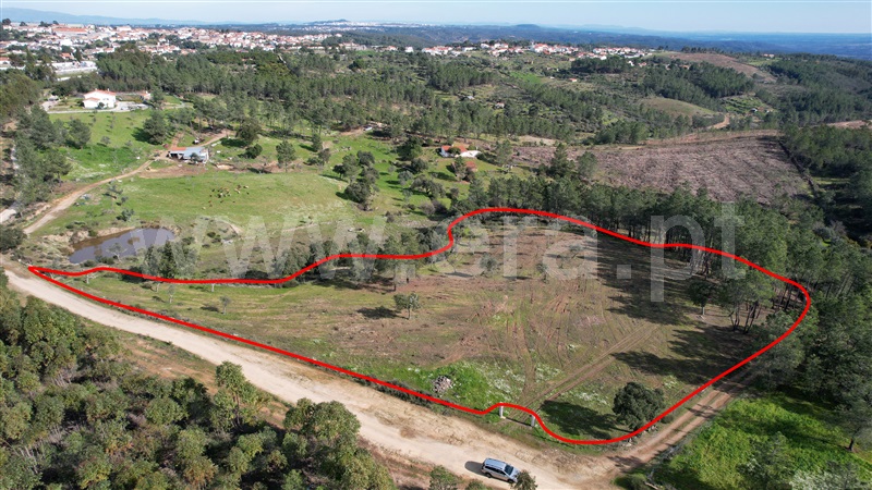 Terreno Rústico  Vila Velha de Rodão, Perais - 1456278 - 15