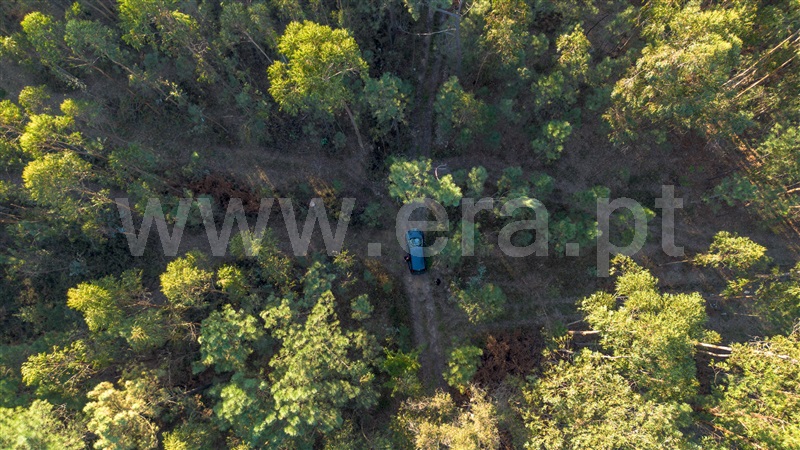 Terreno Rústico  Vila Verde, Cervães - 1439337 - 13