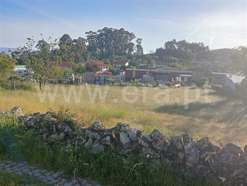 Terreno Rústico / Vouzela, Cambra e Carvalhal de Vermilhas
