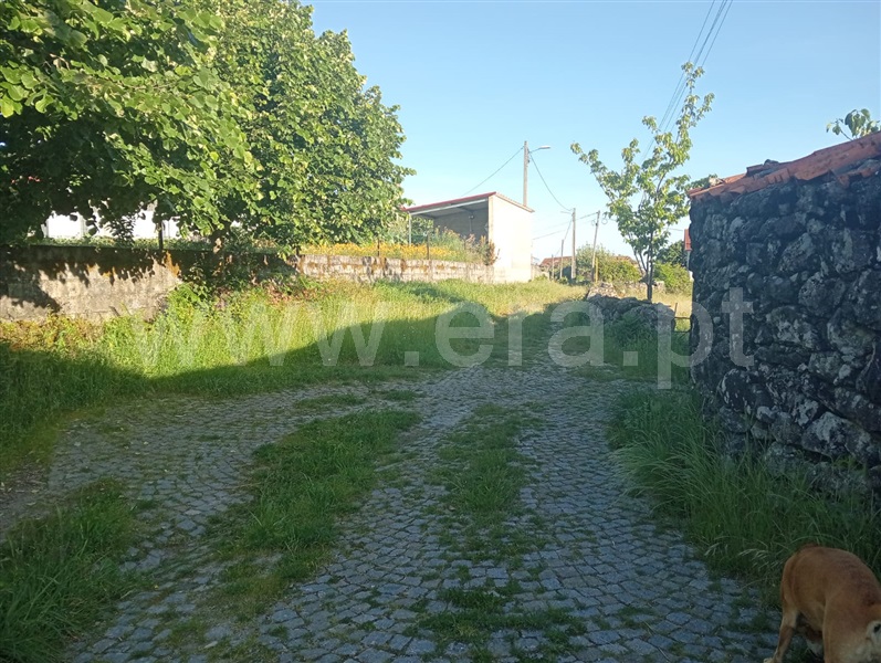 Terreno Rústico  Vouzela, Cambra e Carvalhal de Vermilhas - 1483645 - 3